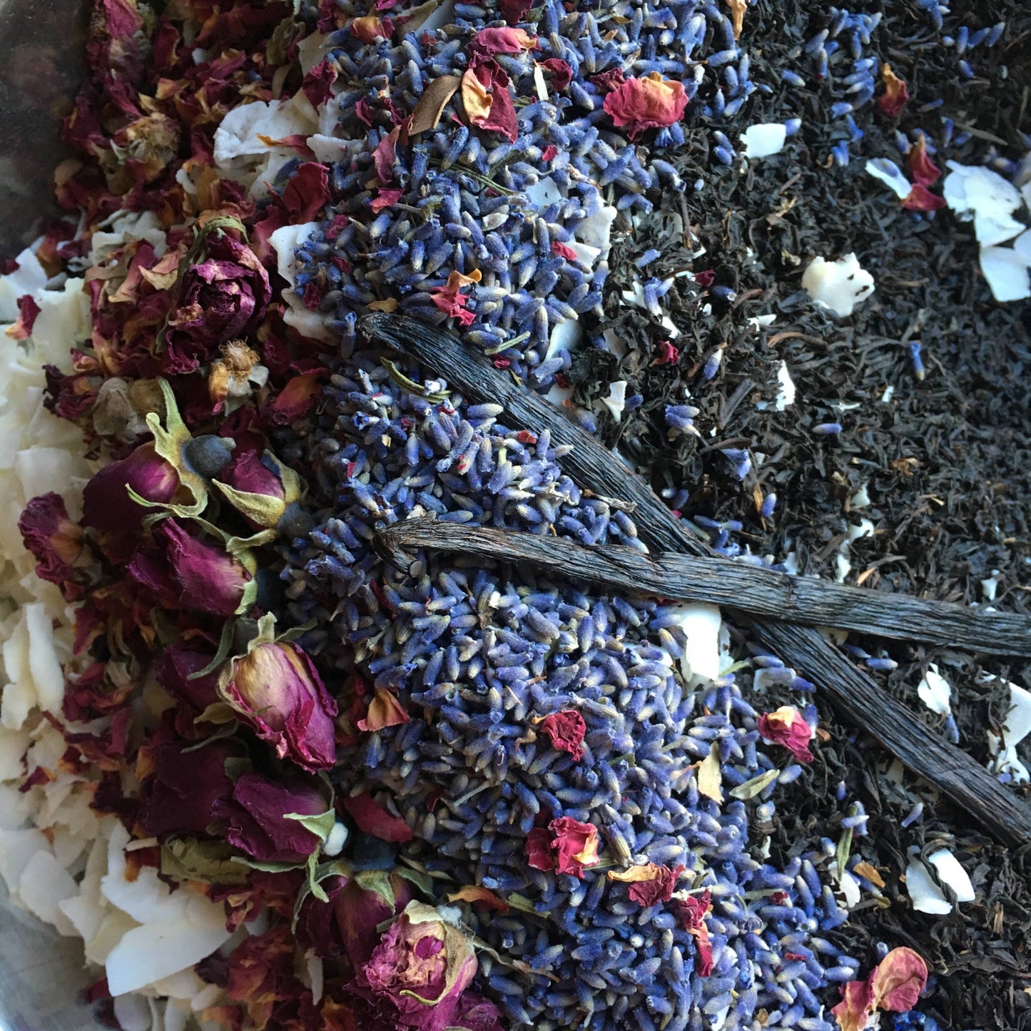 gnat & bee tea