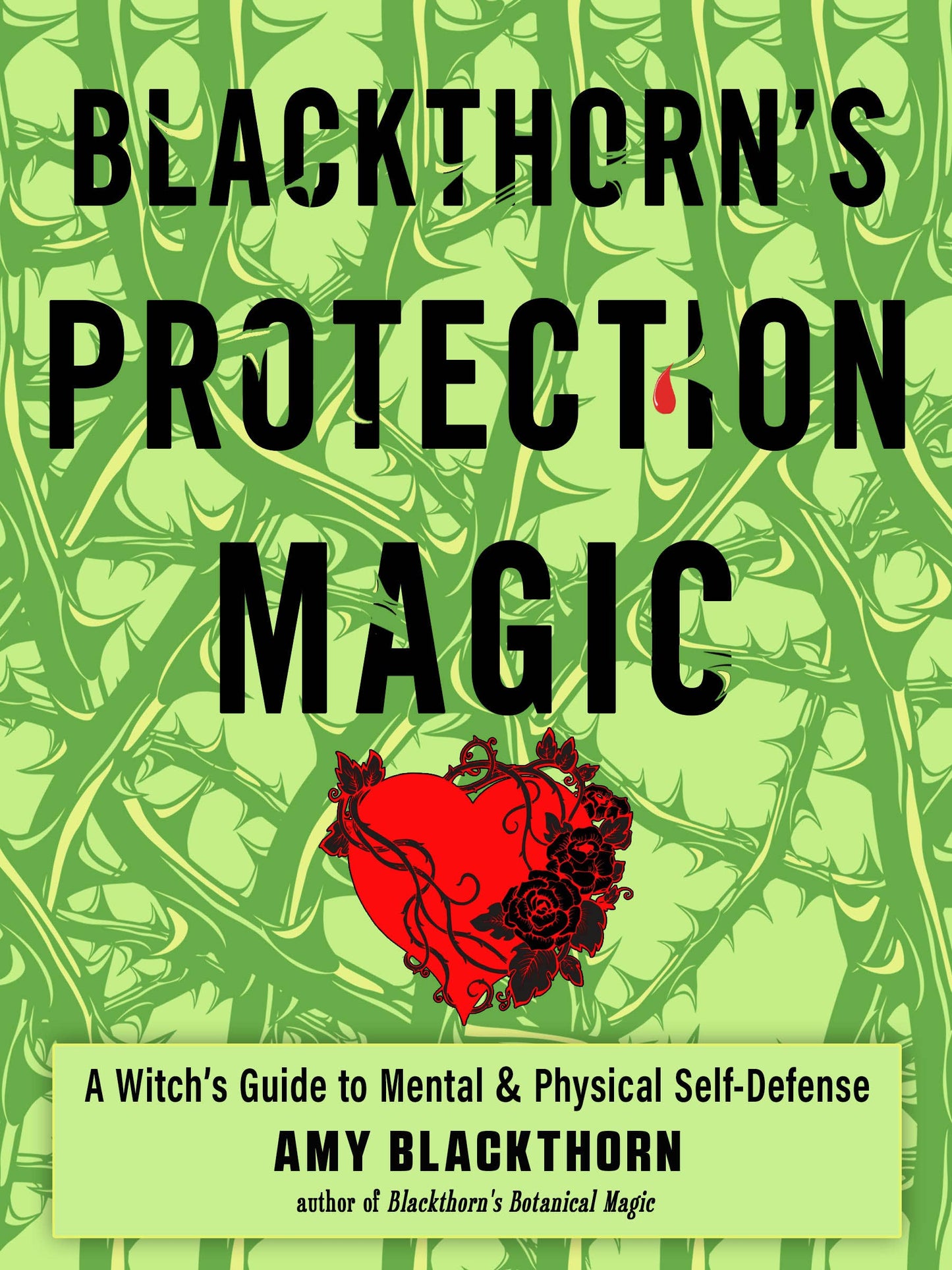 Amy Blackthorn book