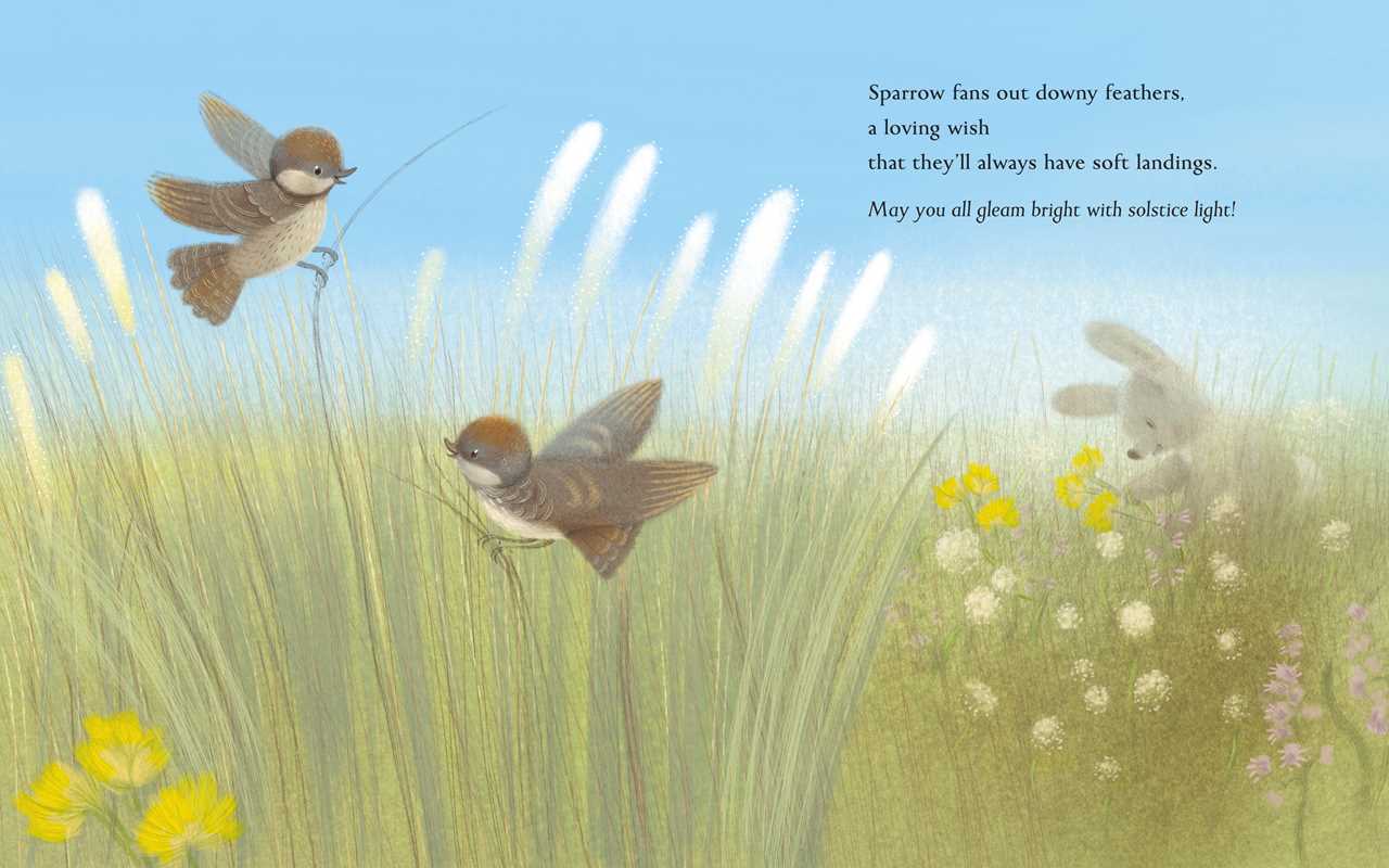 children's summer solstice book