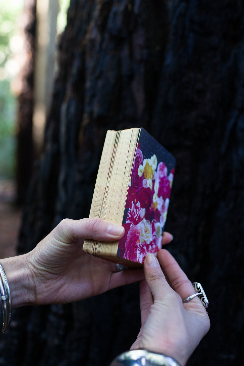 The Lioness Oracle Tarot