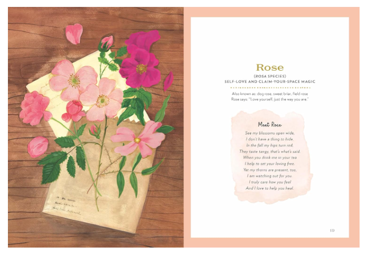 Robin Rose Bennett
