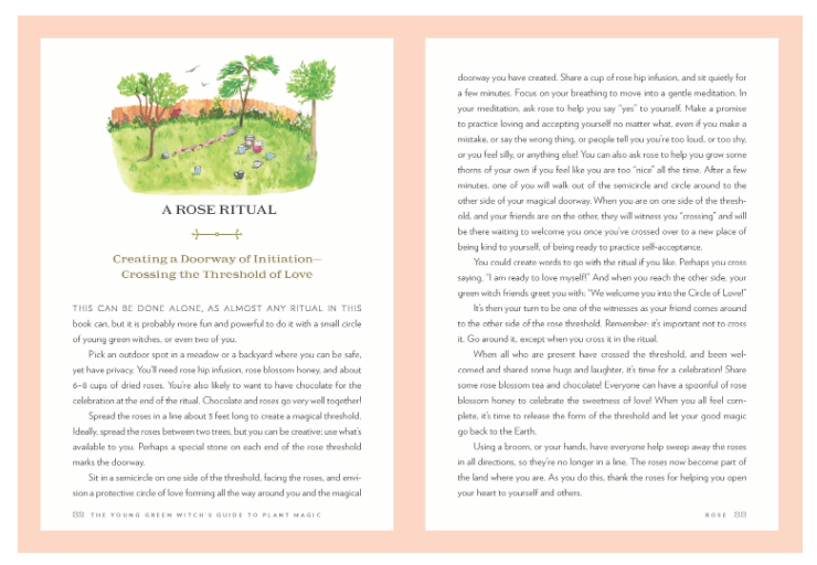The Young Green Witch's Guide to Plant Magic.