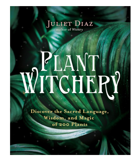 Plant Witchery