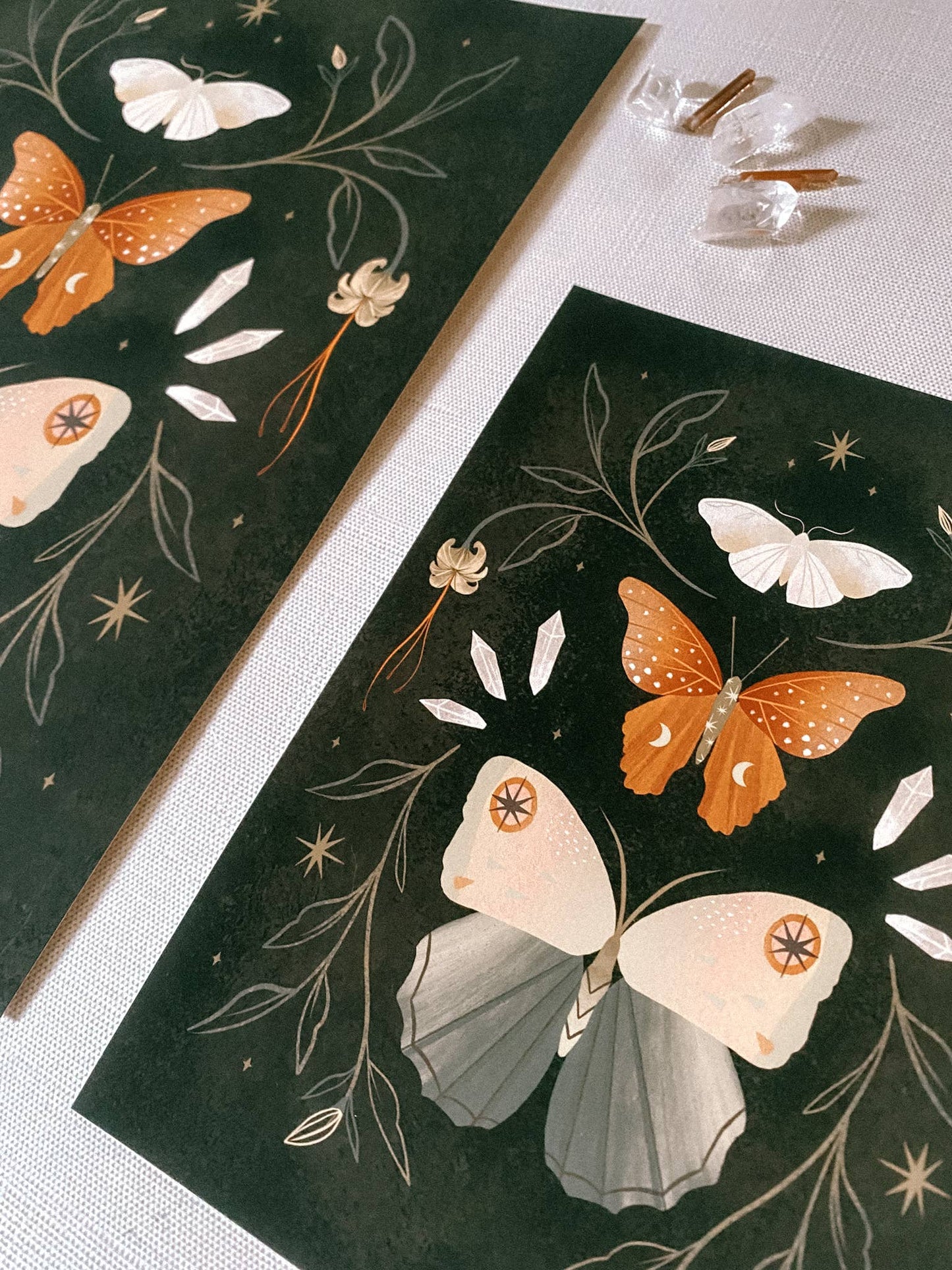 The Collector Print