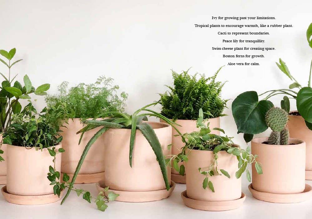 HausMagick : Transform Your Home with Witchcraft.
