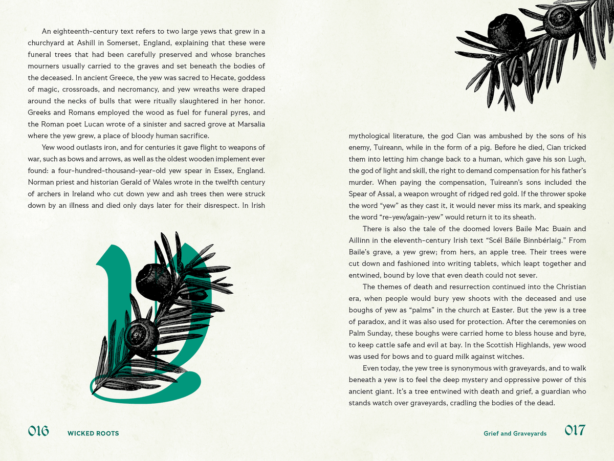 A two-page spread from a book or magazine showing a printed article about yew trees, with text on the left page and a black-and-white photograph of a person holding a yew branch on the right page. Page numbers 016 and 017 are visible, along with the title 'Grief and Gravedays' and 'WICKED ROOTS' at the bottom.
