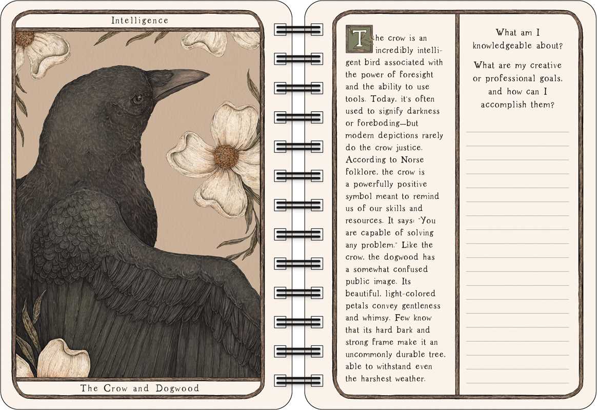 Open book with a crow illustration and text on a beige background