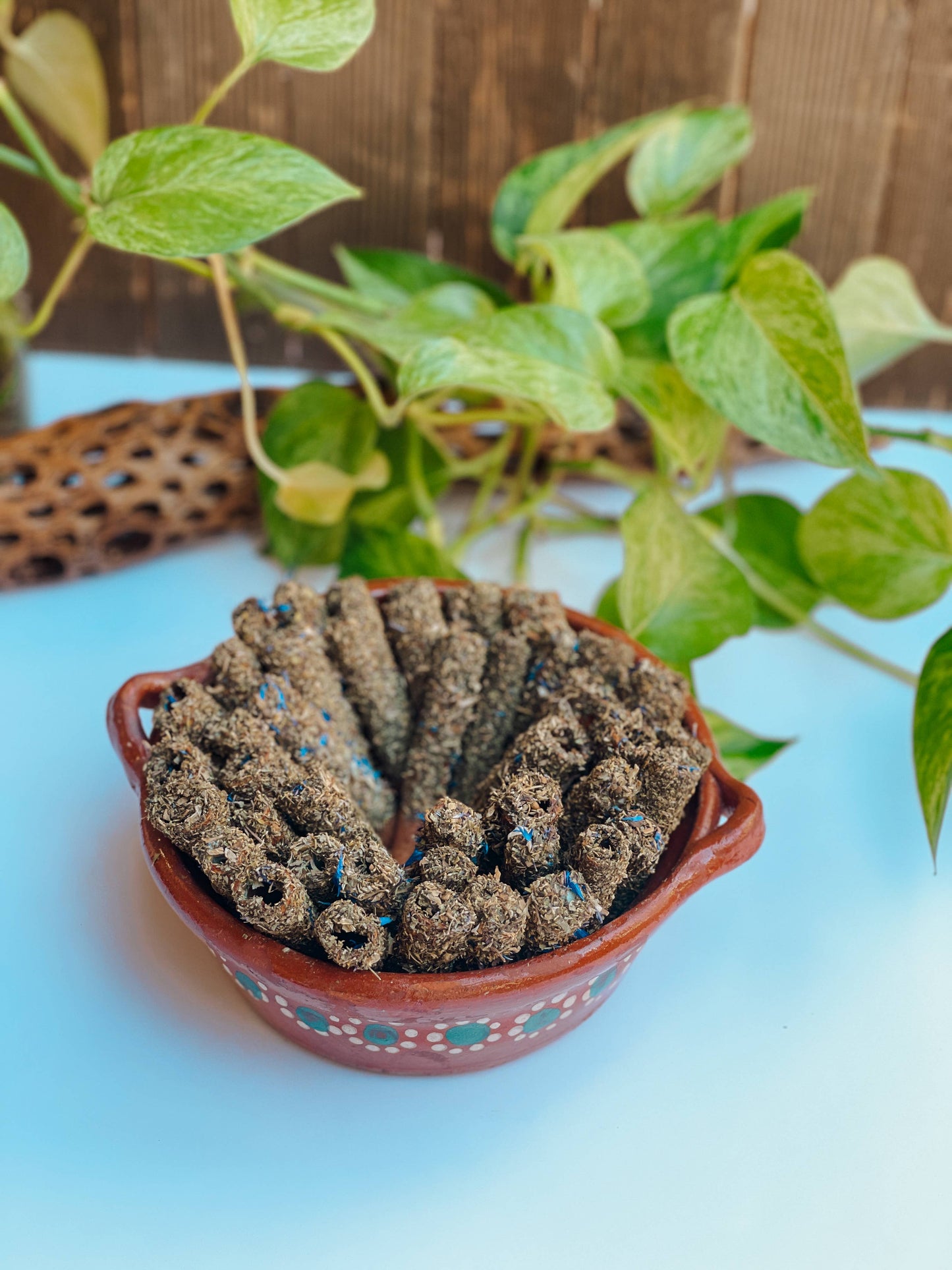 Sacred Protection Canelitas - Palo Santo Alternative