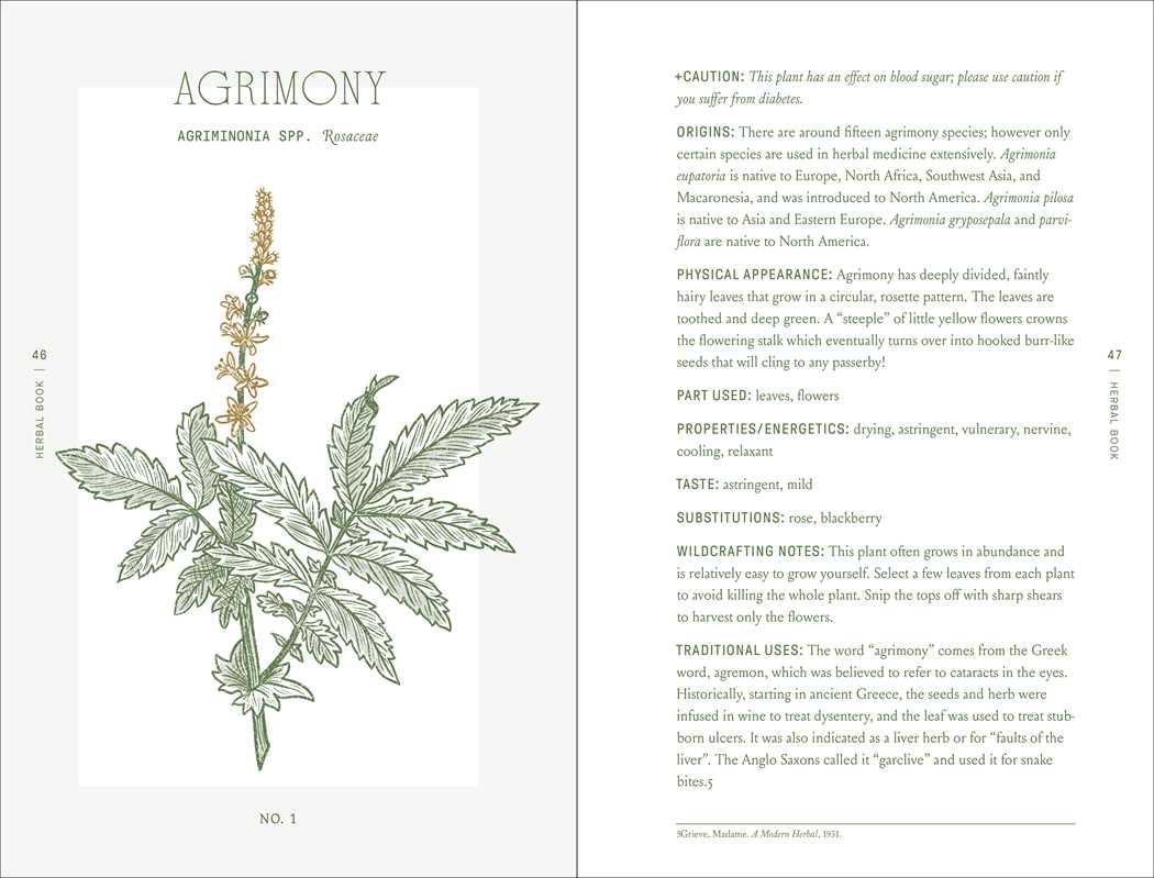 The Complete Folk Herbal by Rebecca Beyer.