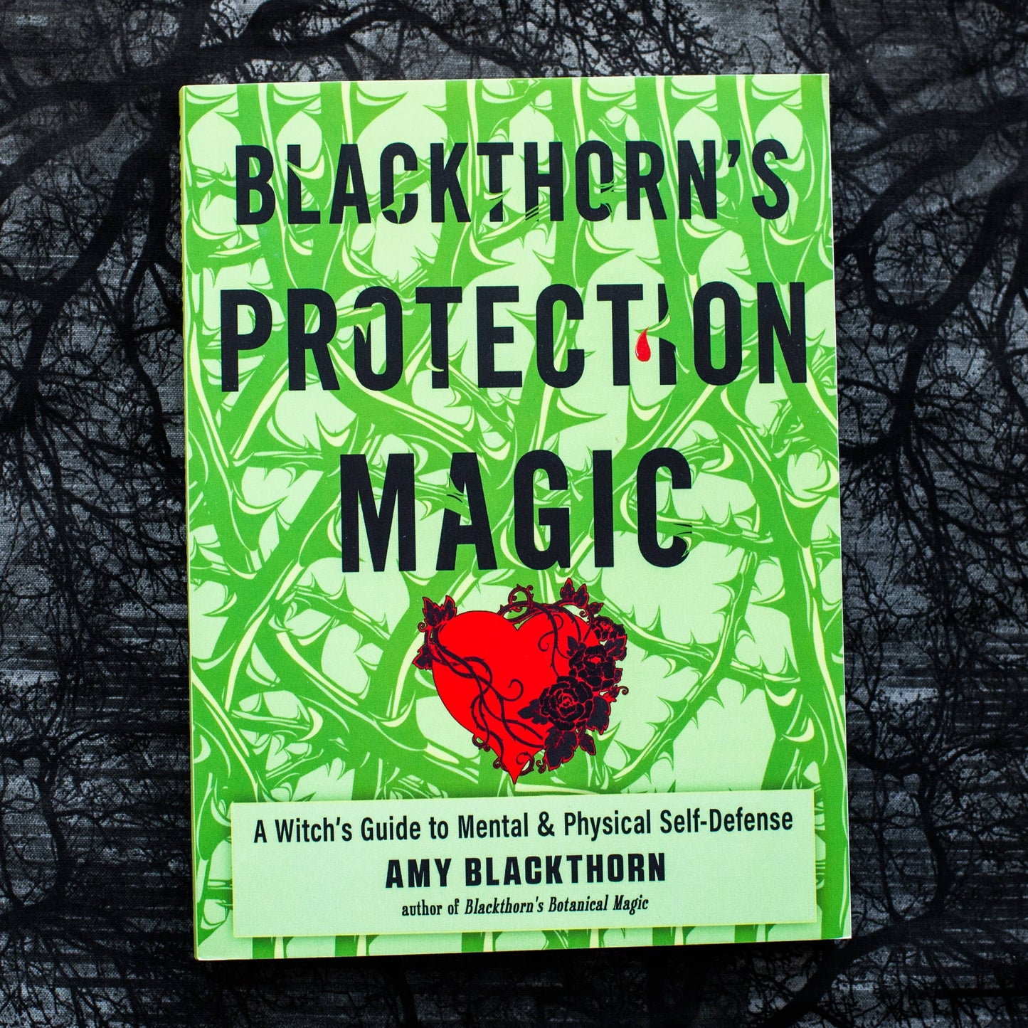 Blackthorn's Protection Magic: A Witch’s Guide to Defense.