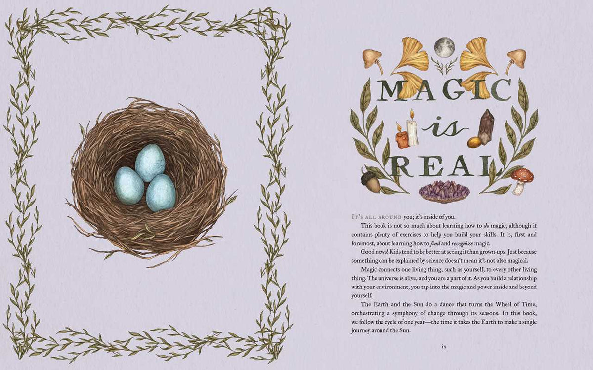 Wheel of the Year: An Illustrated Guide to Nature's Rhythms.
