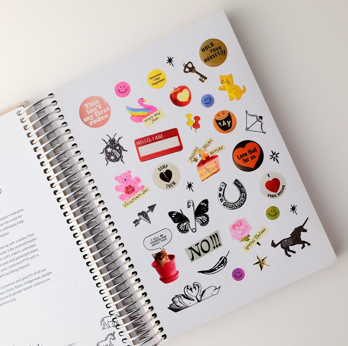CHANI 2027 Astro Planner