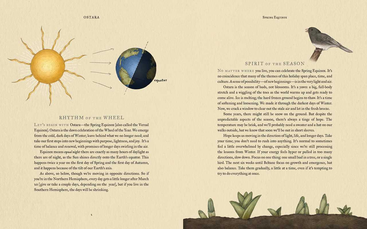 Wheel of the Year: An Illustrated Guide to Nature's Rhythms.