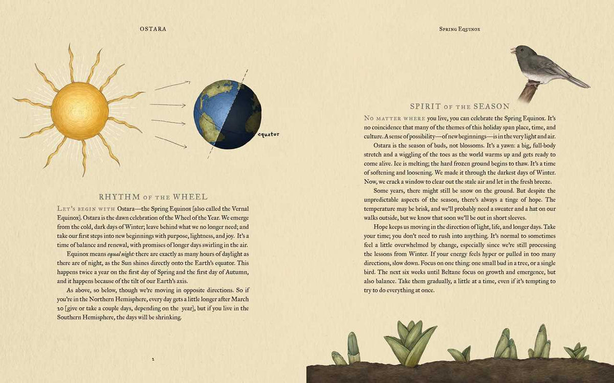 Wheel of the Year: An Illustrated Guide to Nature's Rhythms.