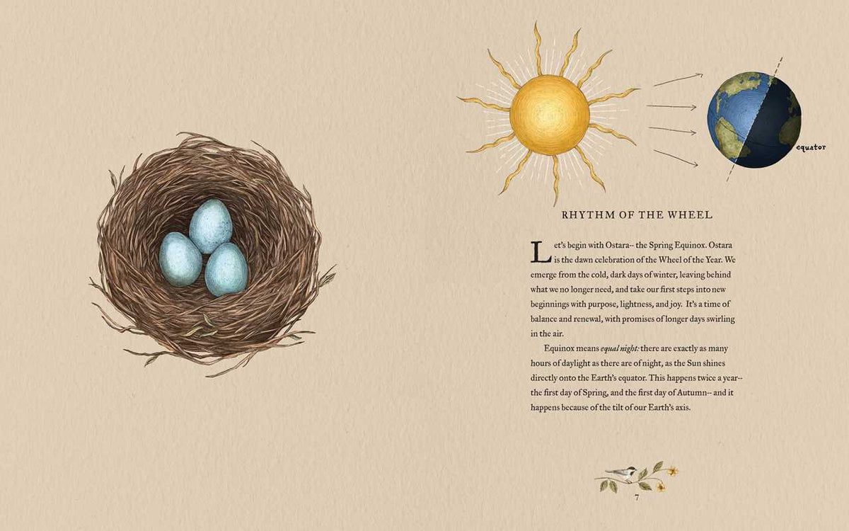Wheel of the Year: An Illustrated Guide to Nature's Rhythms.