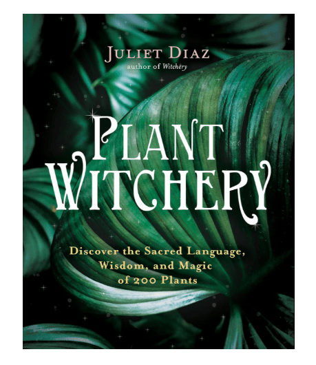 Plant Witchery.