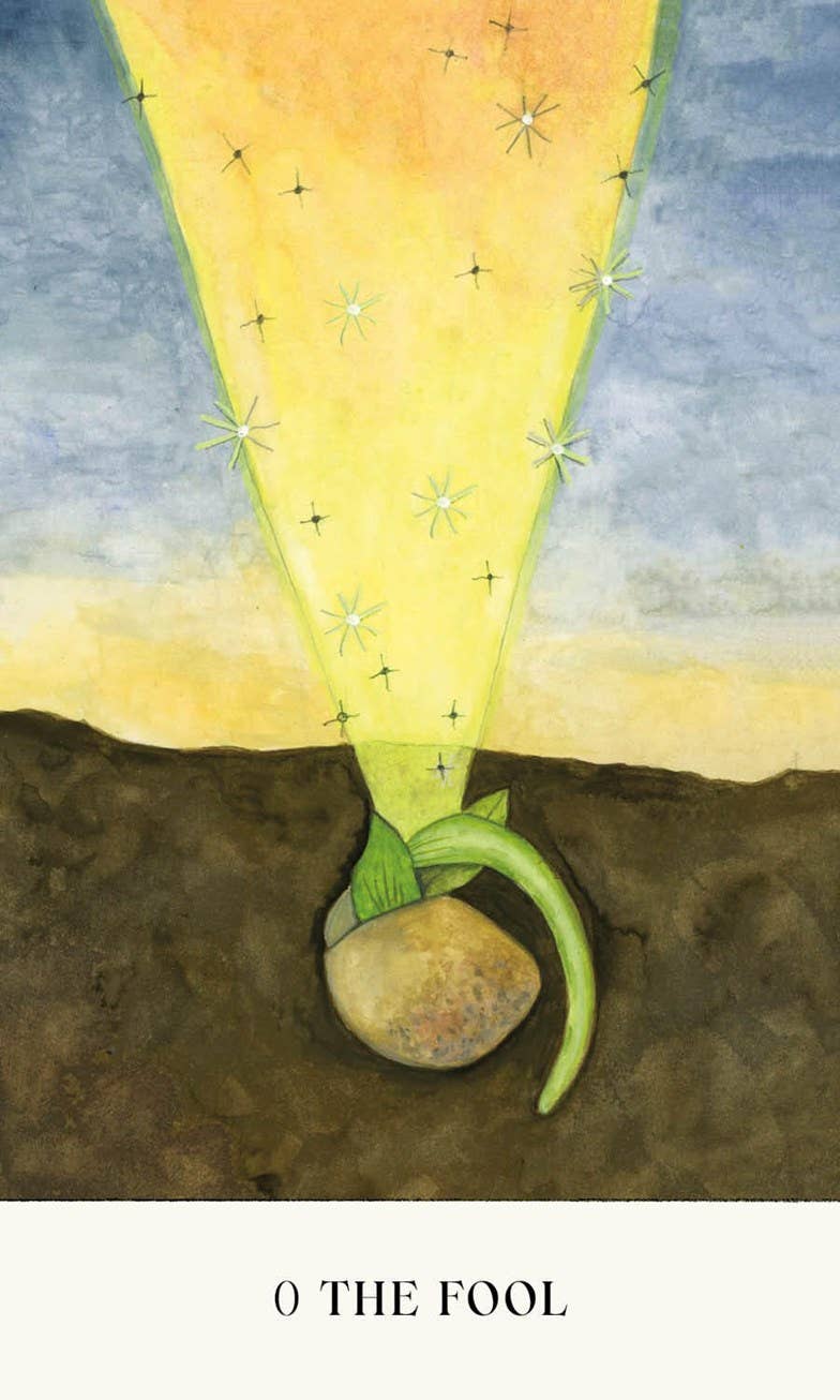 Illustration of a sprouting seed with a yellow light shining on it, labeled 'O The Fool'.