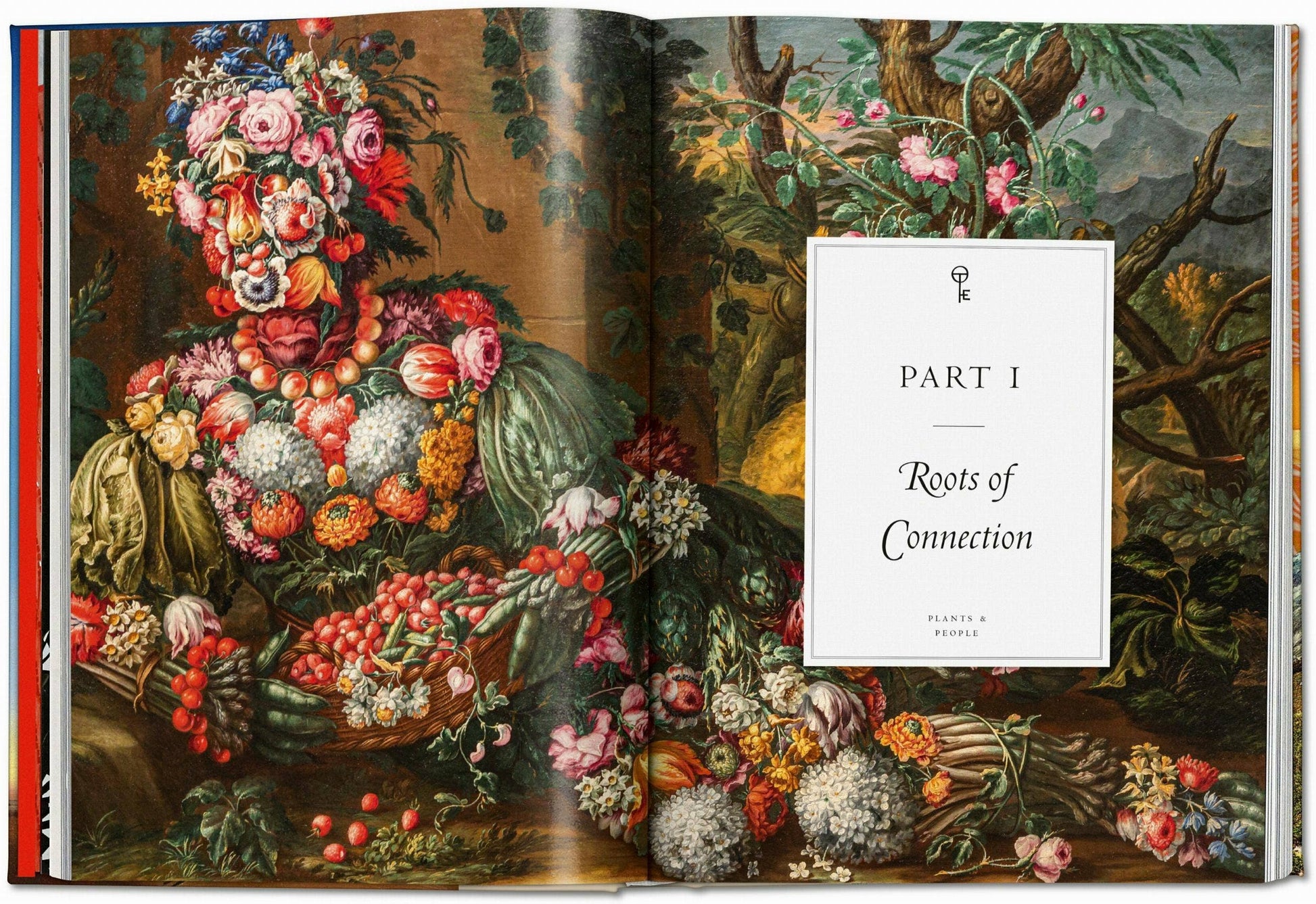 Open book with decorative floral and fruit design on the left page and a white section titled 'Part I: Roots of Connection' on the right.
