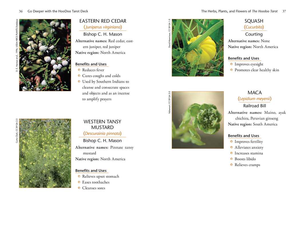 Page from a book or document listing various plants with images and descriptions.