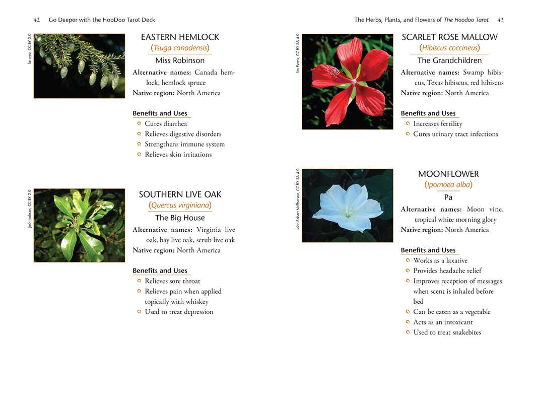 Page from a book or guide featuring images and information about various plants with flowers.