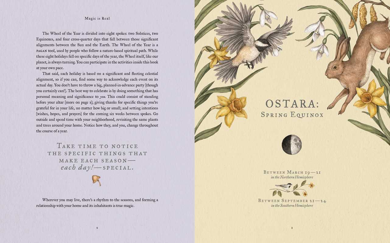 Wheel of the Year: An Illustrated Guide to Nature's Rhythms.