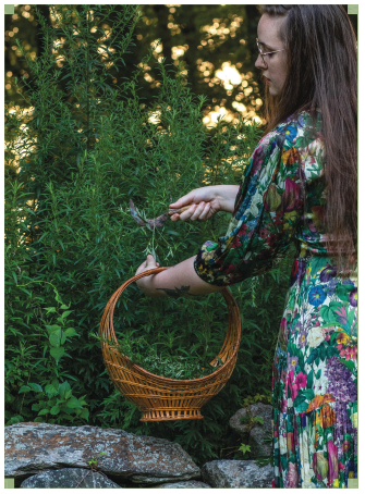 The Witch's Workshop: A Guide to Crafting Your Own Magical Tools