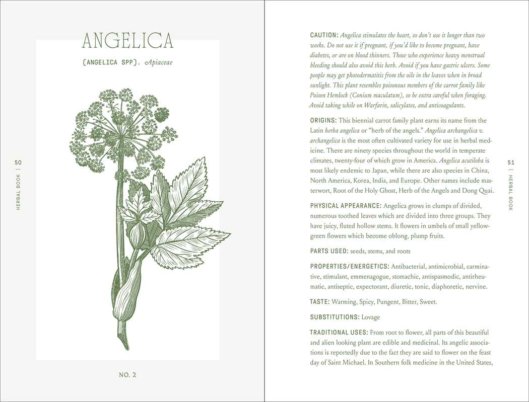 The Complete Folk Herbal by Rebecca Beyer.