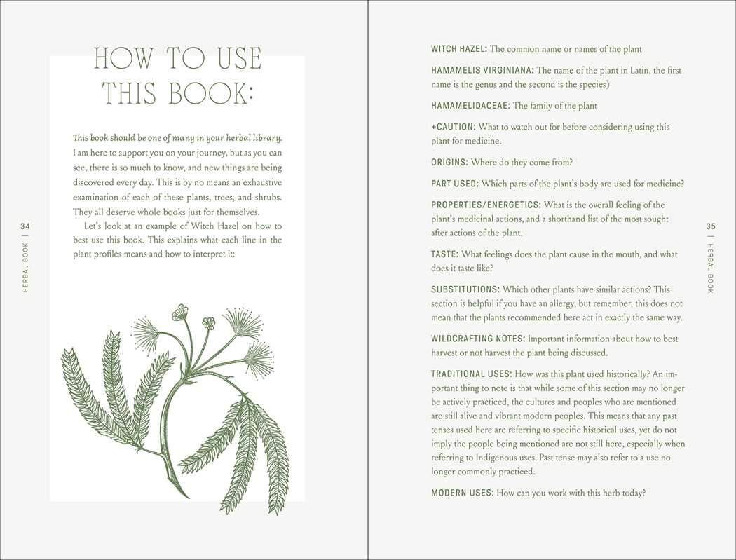 The Complete Folk Herbal by Rebecca Beyer.