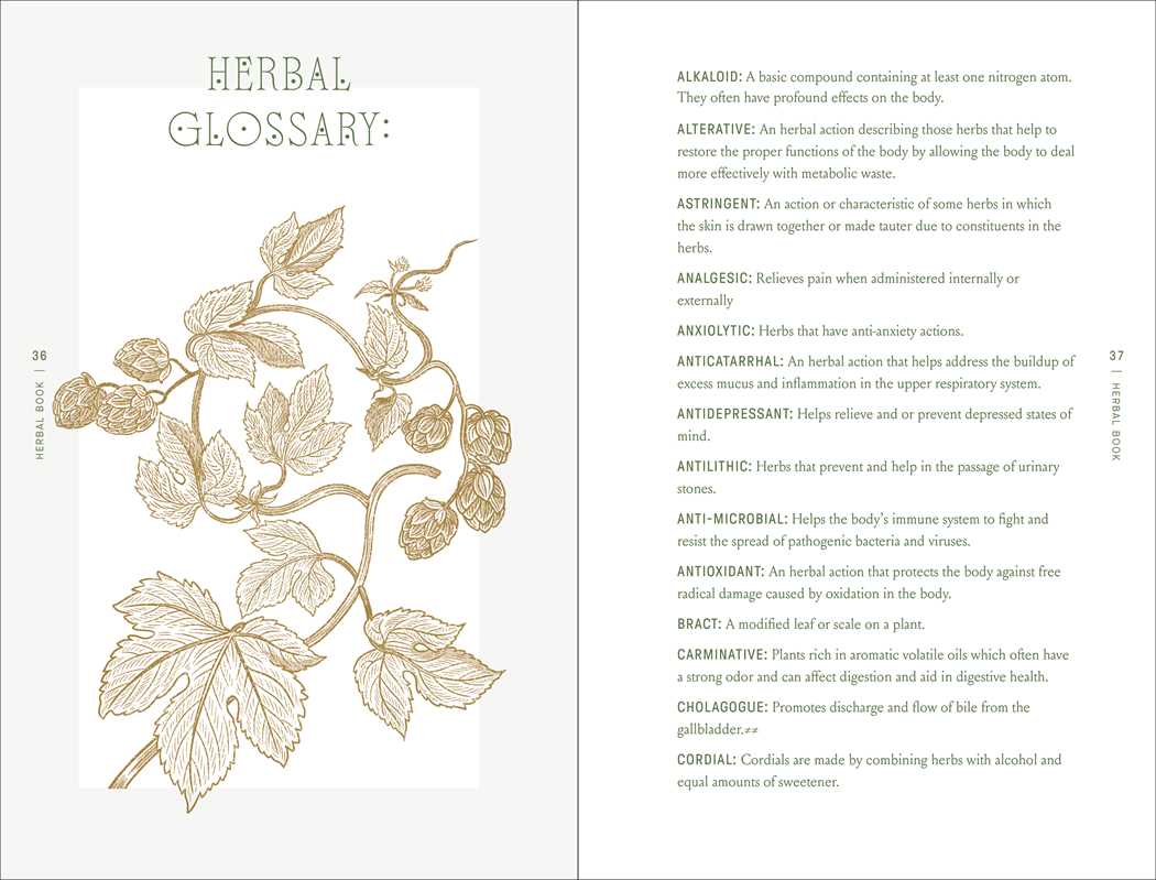 The Complete Folk Herbal by Rebecca Beyer.