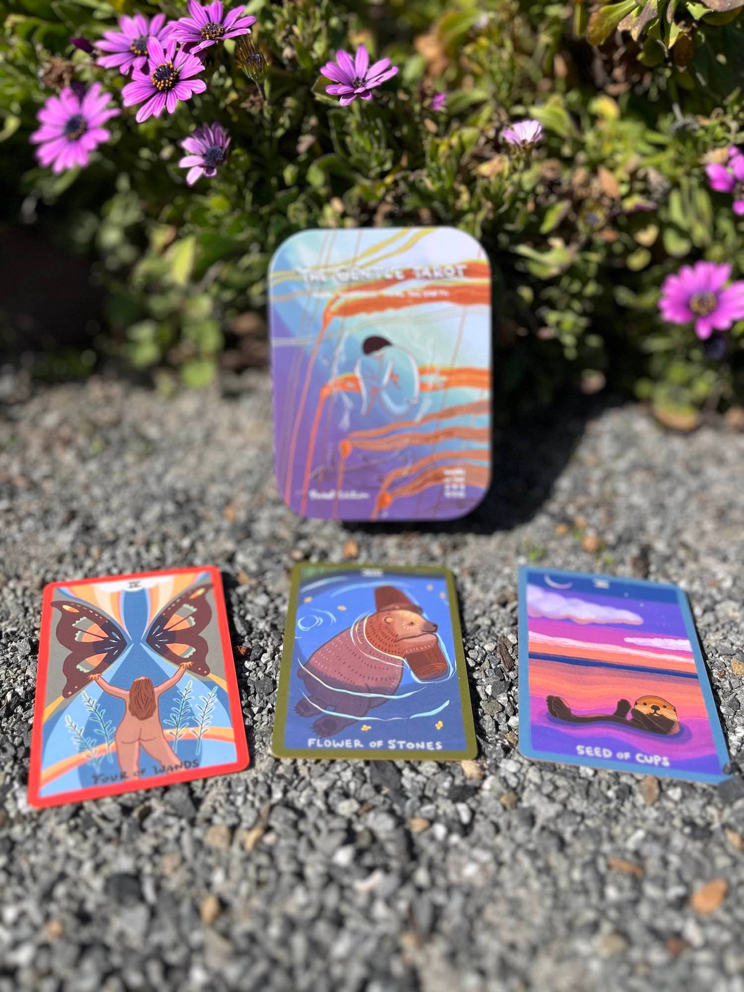 Four colorful tarot cards on a gravel surface with flowers in the background