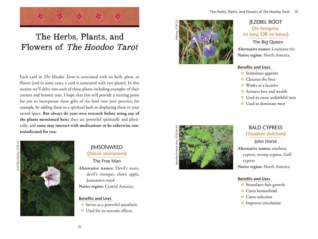 Page from a book or manual about herbs, plants, and flowers associated with The Hoodoo Tarot, featuring images and text.
