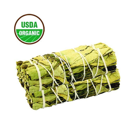 Rolled green leafy herb tied with twine on a white background with USDA Organic logo.