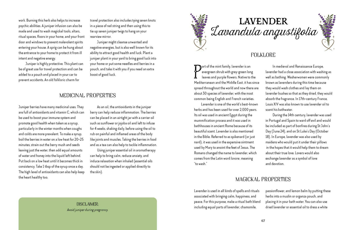 A printed informational page about lavender, with the title 'LAVENDER Lavandula angustifolia' at the top right, sections on medicinal properties, folklore, and magical properties, plus a lavender sprig illustration and a small plant photo in the upper right.