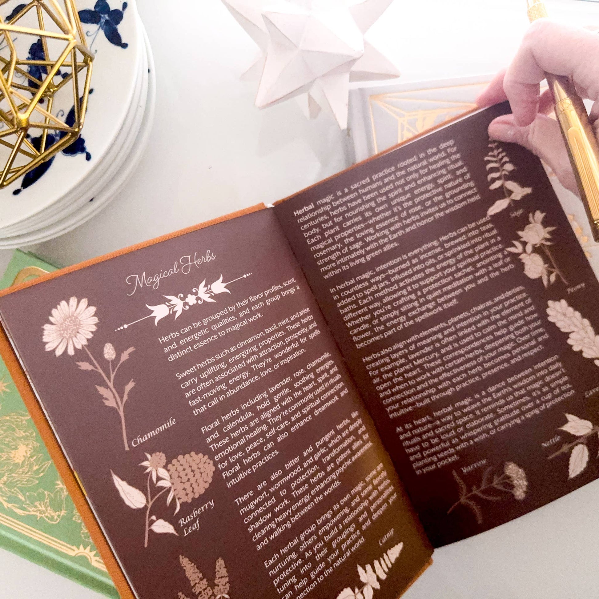 Open book with herbal illustrations and text on a white surface