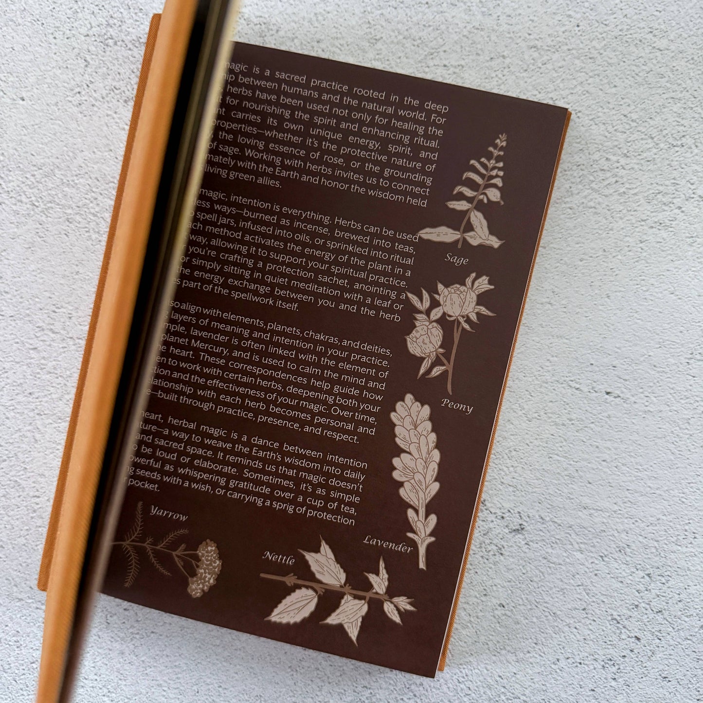 Brown book with engraved herbs and text on a textured surface