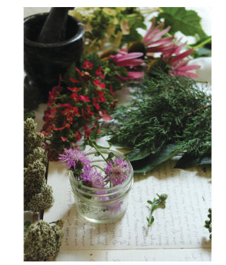 Herbal plants and a jar of flowers on a textured surface