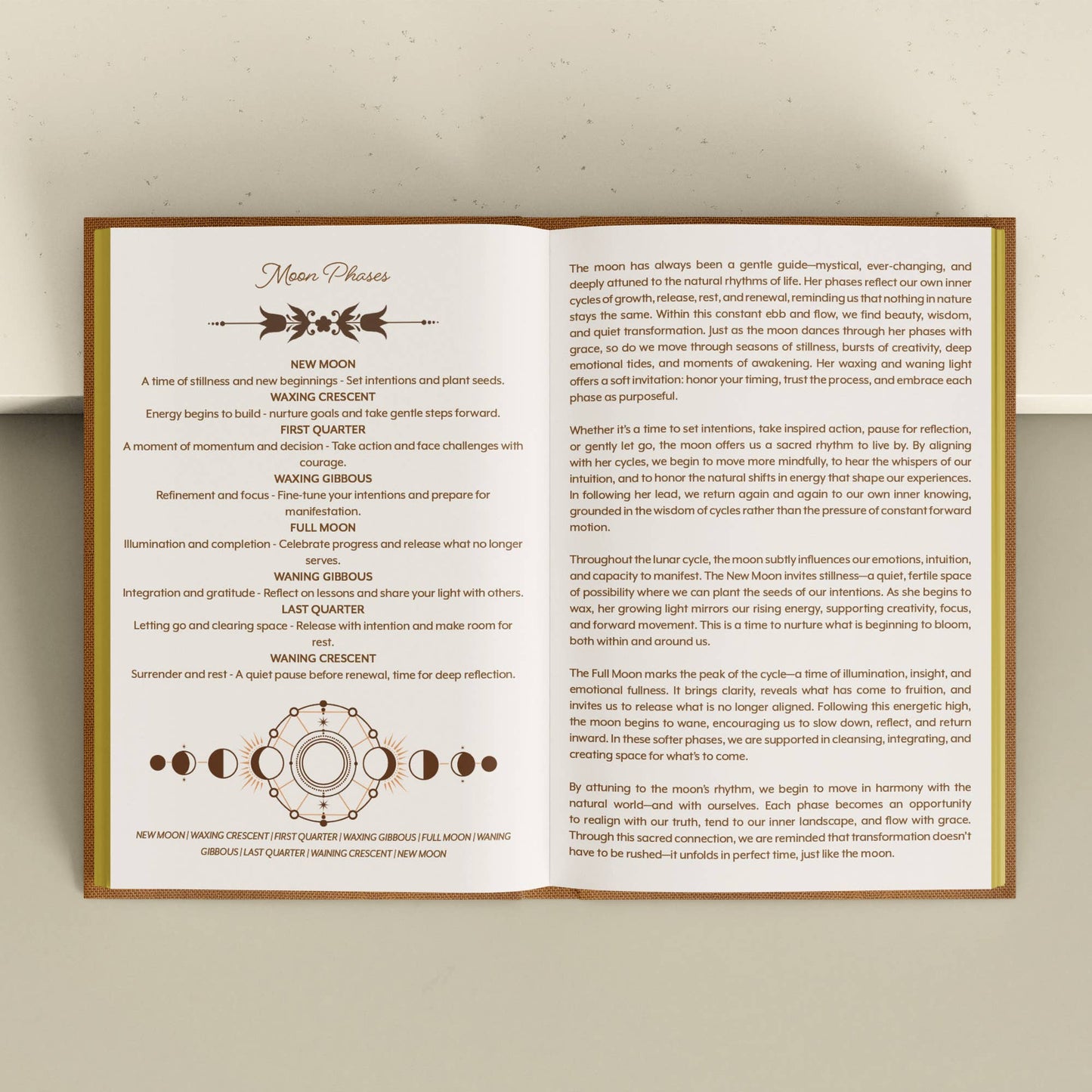 Educational poster about moon phases with text and diagram on a beige background