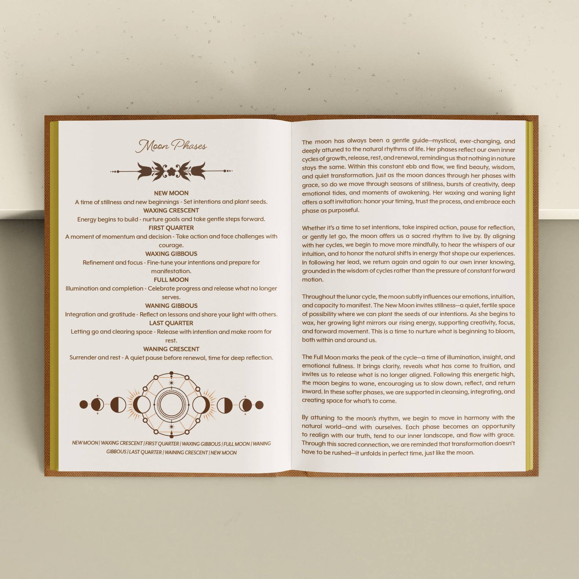 Educational poster about moon phases with text and diagram on a beige background