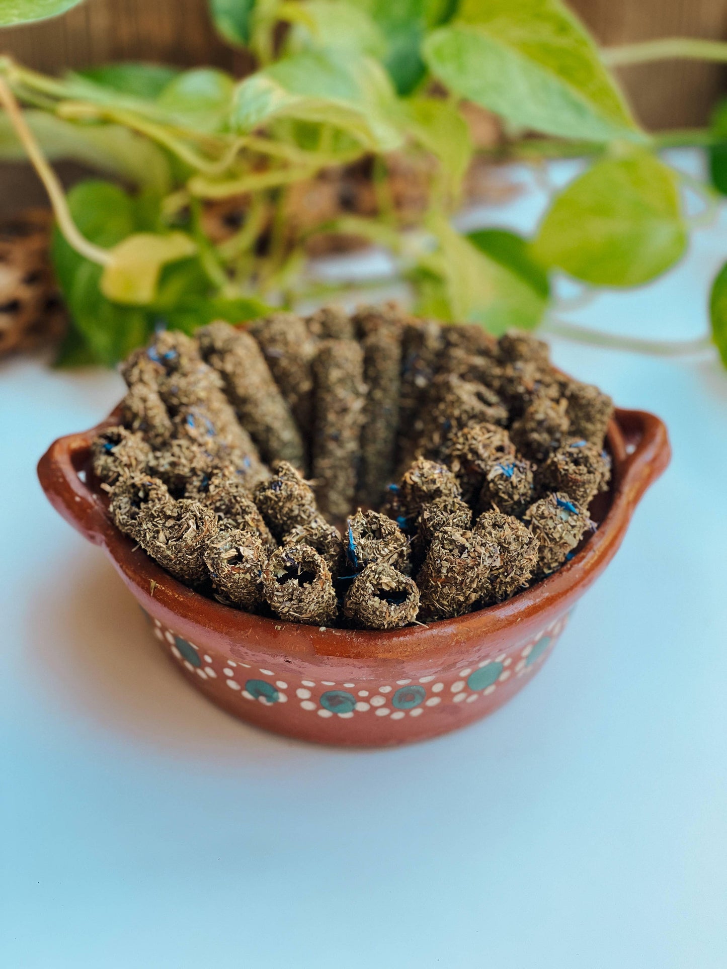 Sacred Abundance Canelitas - Palo Santo Alternative.
