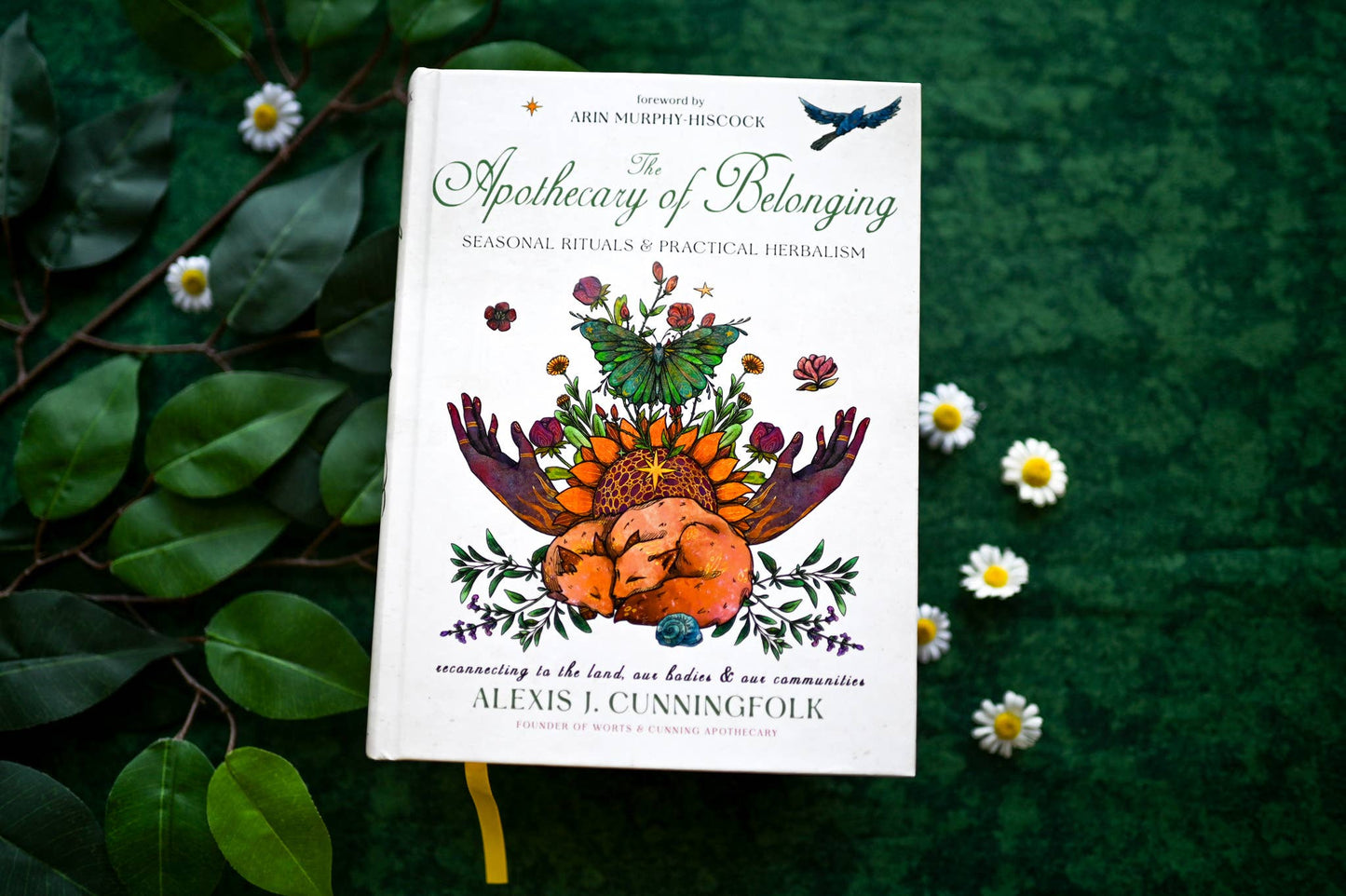 The Apothecary of Belonging: Seasonal Rituals & Herbalism.