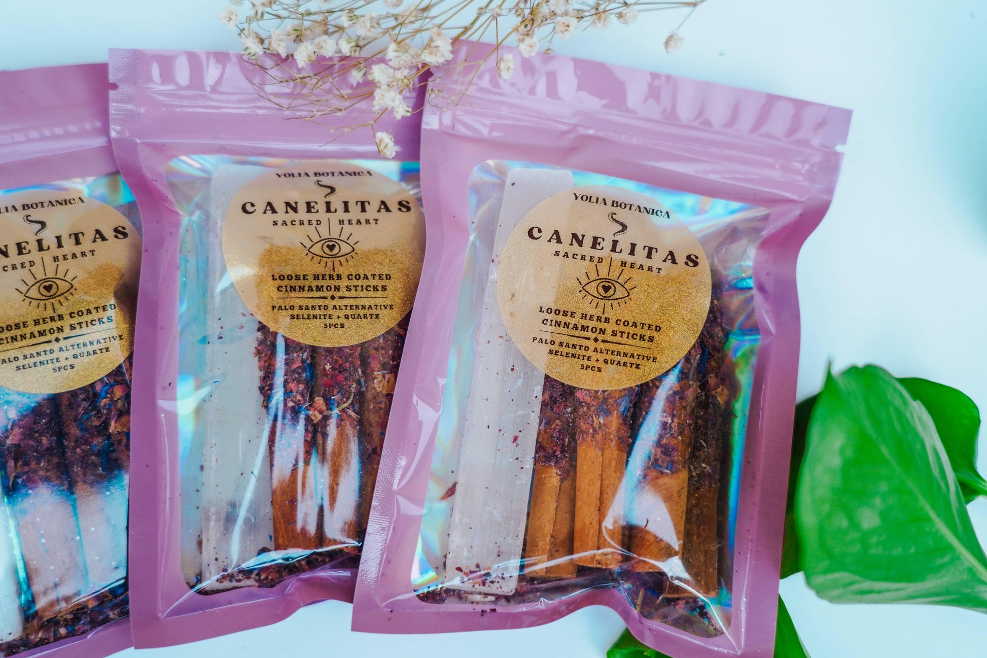 Palo Santo Alternative - Yolia Botanica