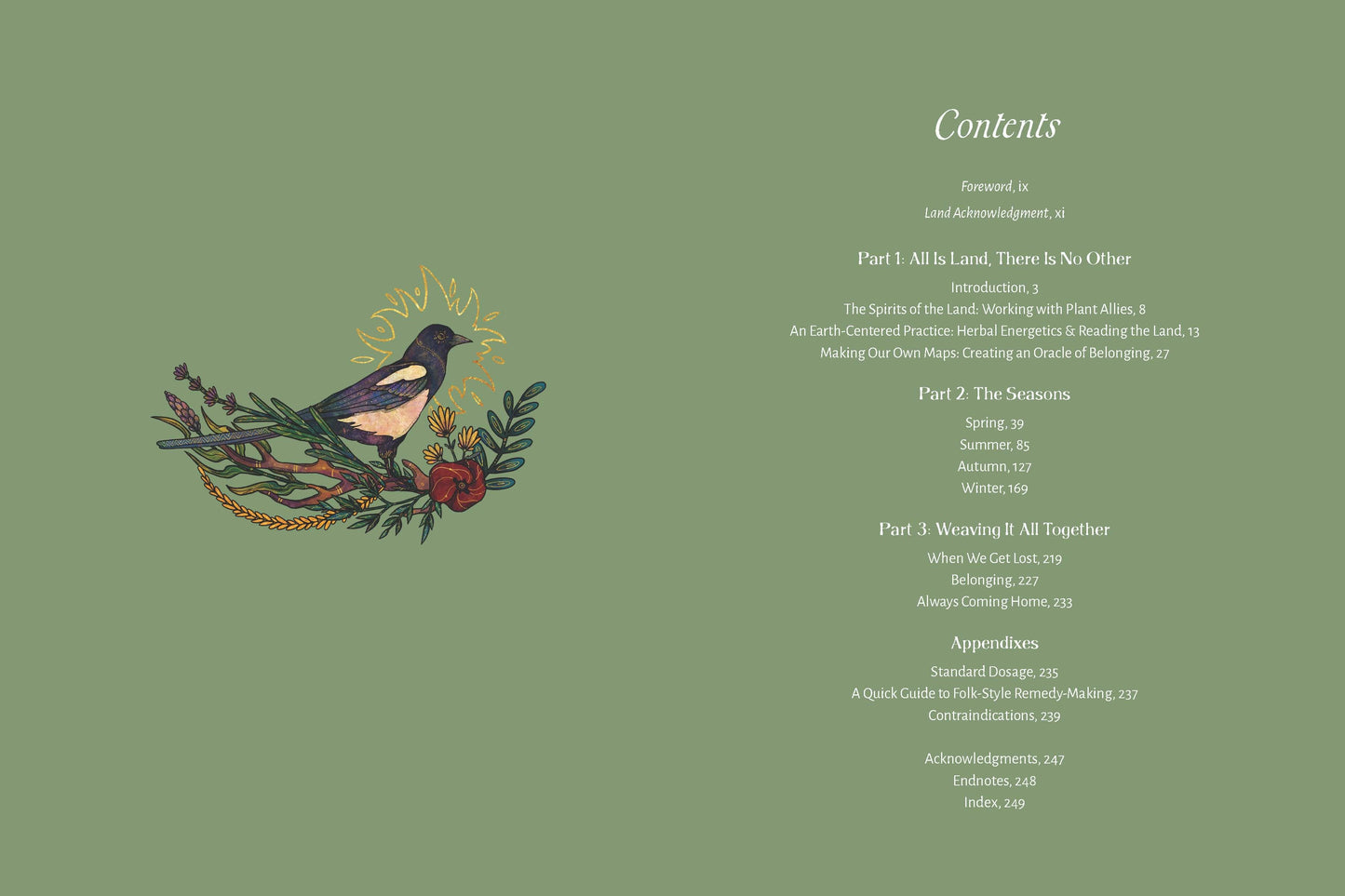 The Apothecary of Belonging: Seasonal Rituals & Herbalism.