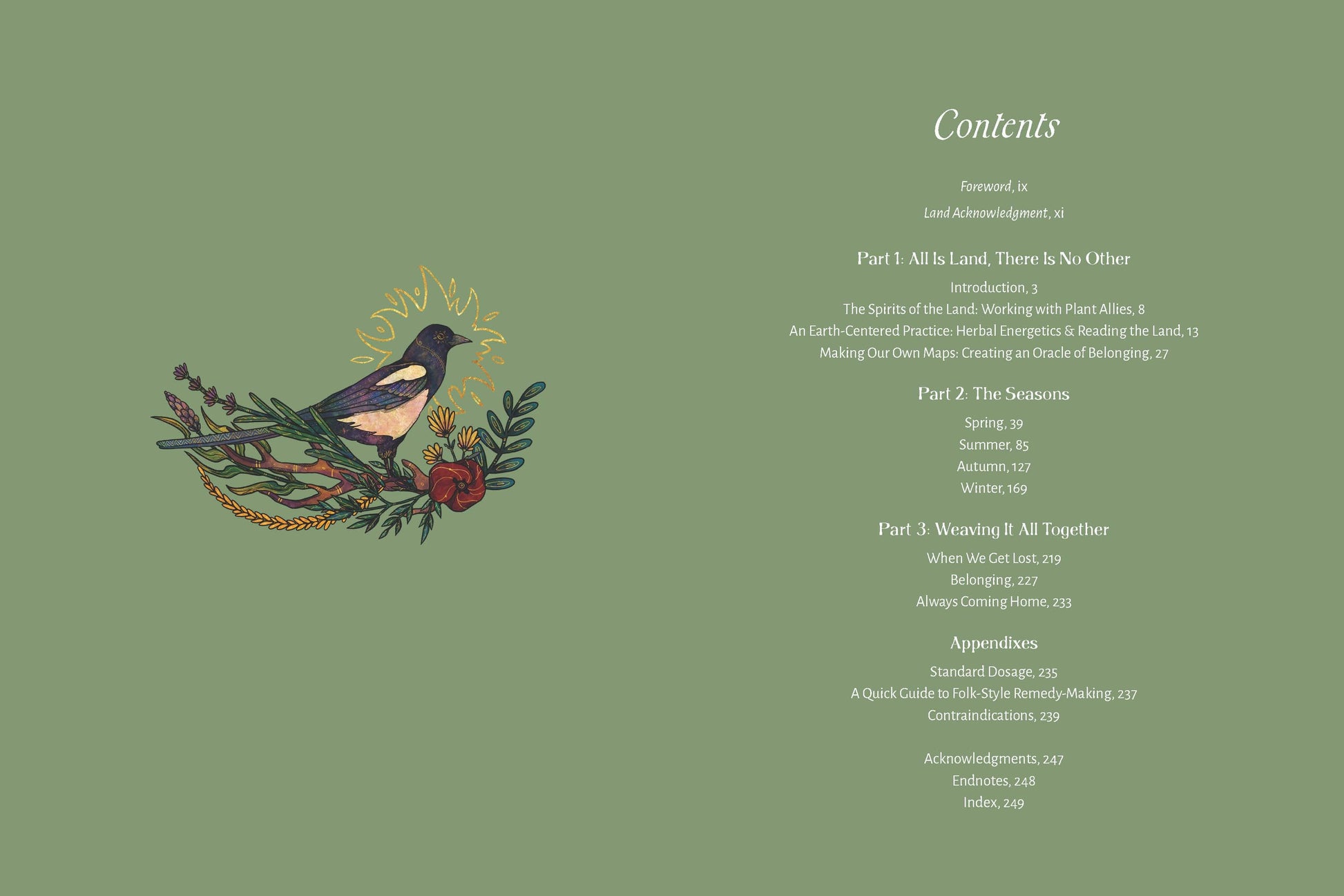 The Apothecary of Belonging: Seasonal Rituals & Herbalism.