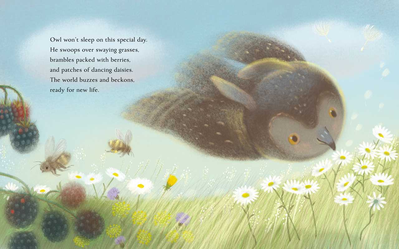 Summer: A Solstice Story.
