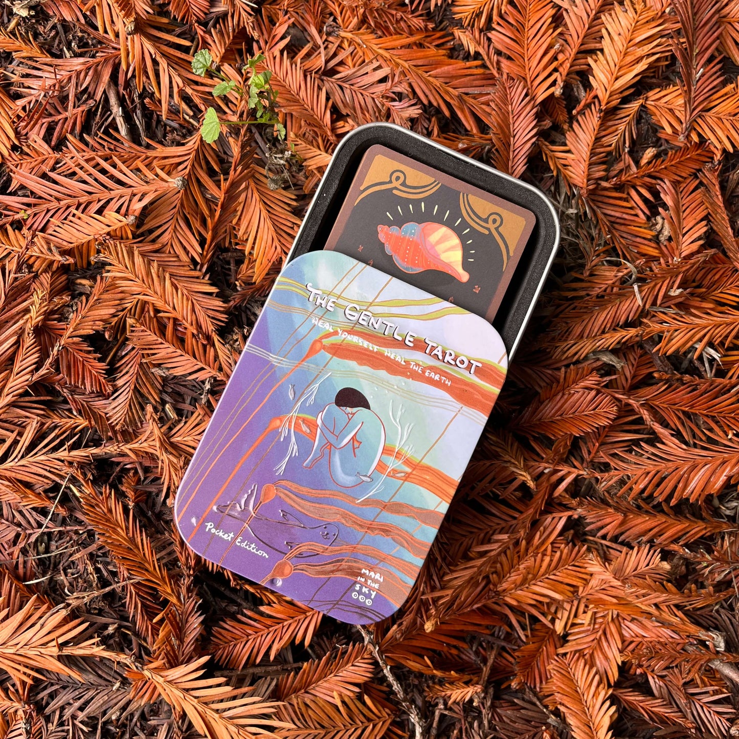 Tarot card set in a tin on a bed of brown leaves