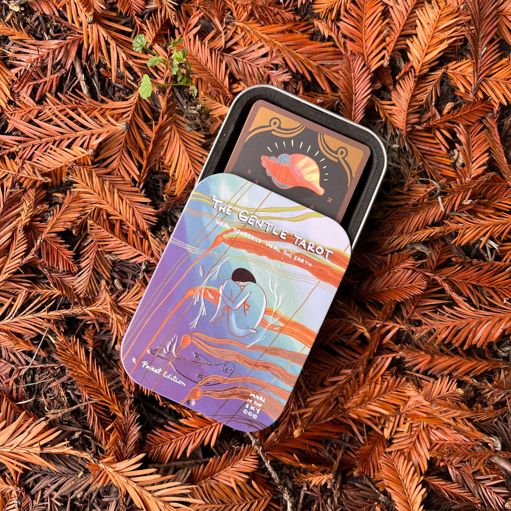 Tarot card set in a tin on a bed of brown leaves