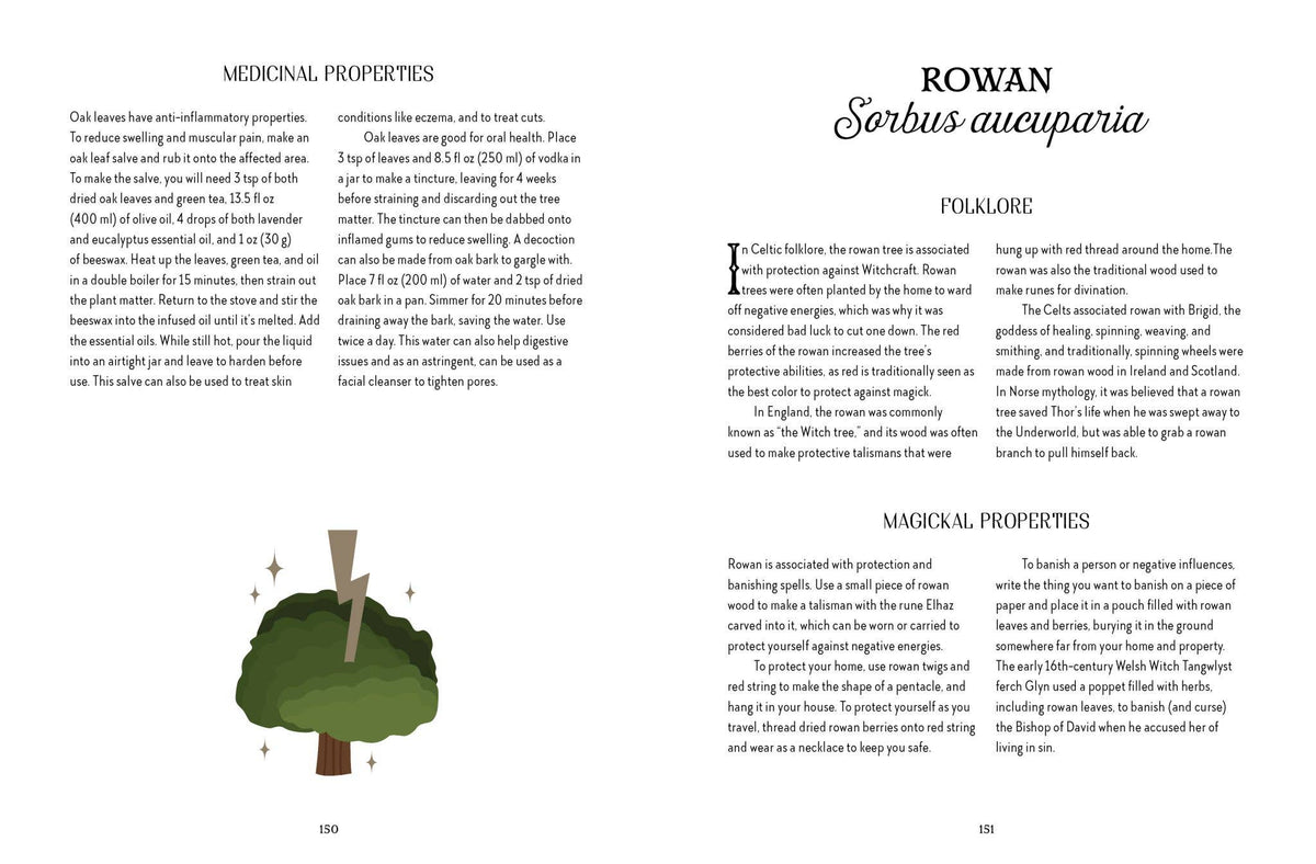 Page from a book about Rowan tree with text and illustrations